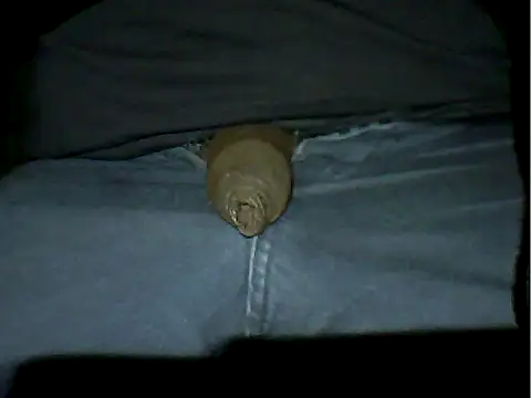 Mthondo-qinile online show from 11/18/25, 09:30