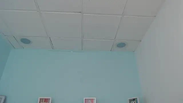 Snapshot of Sunshine_gh1 chatting on 05/25/26, 11:27 Sunshine gh1 online show from 05/25/26, 11:27