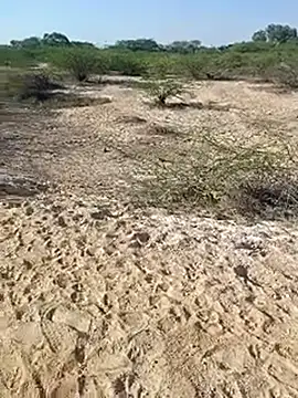 Snapshot of Delhi_BoyBigcock chatting on 03/11/25, 03:05 Delhi BoyBigcock online show from 03/11/25, 03:05