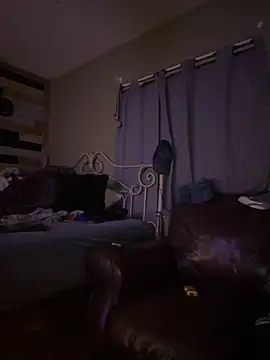 Polaroid White online show from 03/04/25, 06:47