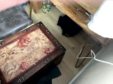 femboybandi online show from 01/12/26, 02:22