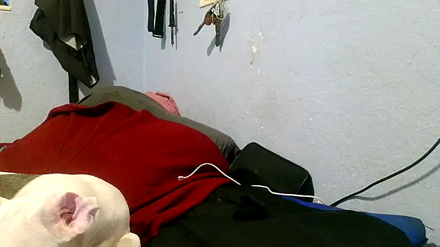 PornStro921 online show from 05/03/26, 04:02