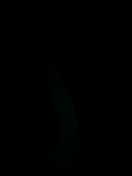 SunnY-0124xh online show from 02/25/25, 05:47