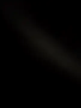 wildfun  online show from 11/24/25, 08:47