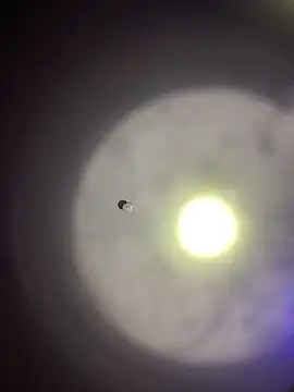 1Zoey101 online show from 03/30/26, 09:16