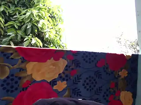 Ladyzee25 online show from 02/06/26, 03:04