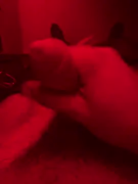 ruchacz24 online show from 10/14/25, 01:50