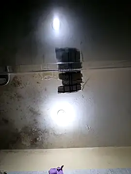 Pipilokito online show from 12/20/25, 07:54