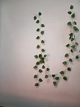 Neha-Bhabhi-Rasily online show from 02/18/26, 11:17