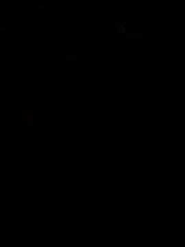 viviksmel online show from 10/25/25, 11:51