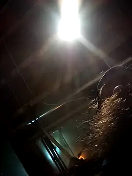 Snapshot of SirJonBradley chatting on 09/19/25, 10:49 SirJonBradley online show from 09/19/25, 10:49