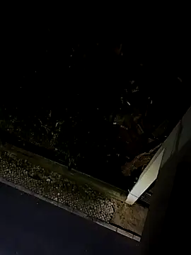 BUTTerflyTODAY online show from 04/22/26, 01:52