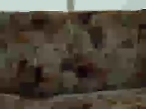 priya patel online show from 09/12/25, 07:19