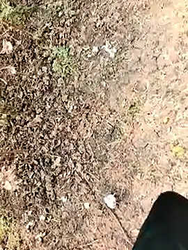 himvilohi08 online show from 01/07/26, 06:16