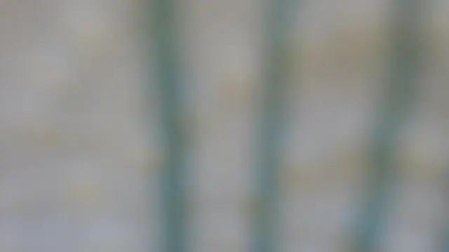 RobertaFox69 online show from 12/06/24, 04:49