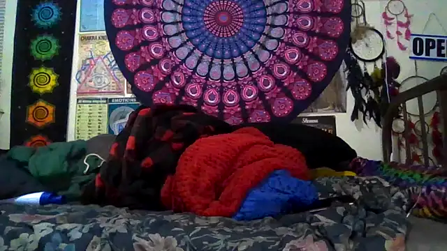 GardeniaFields online show from 03/08/26, 09:57