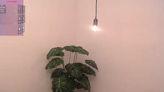 wet valery online show from 04/27/26, 11:58
