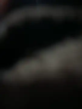 HARSHHU01 online show from 03/17/25, 03:07