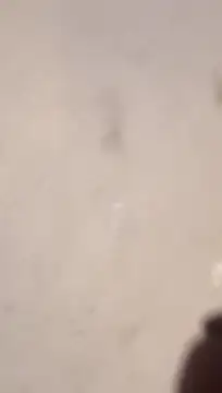 Nick-Ox online show from 03/13/26, 06:47