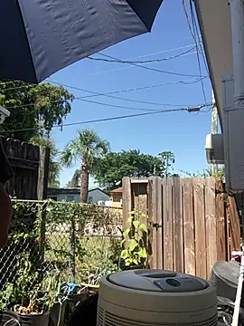 anthonyroth online show from 03/21/25, 05:56