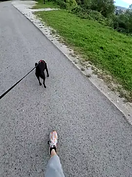 svenpfeifer online show from 09/16/25, 06:58