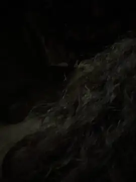 aa520uv online show from 02/05/26, 12:43