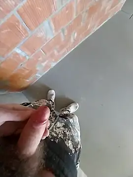 MaksDzubaV online show from 03/07/26, 11:18