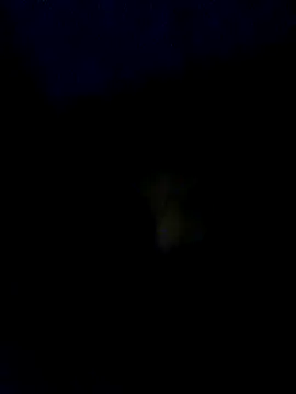 baby25cm online show from 02/13/26, 06:15