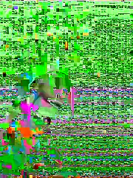 HenriquePhn online show from 02/06/26, 03:00