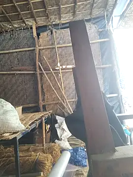 Snapshot of hot_integer chatting on 02/21/26, 02:56 hot integer online show from 02/21/26, 02:56