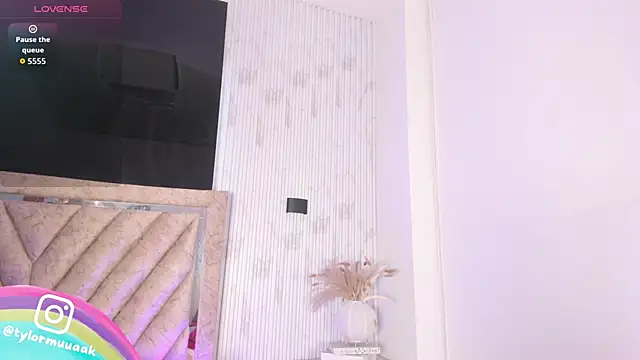 Taylor Harveey online show from 11/20/25, 08:19