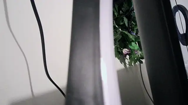 cherryboom23 online show from 03/19/26, 07:18