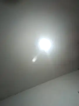 calfran online show from 02/12/26, 05:35