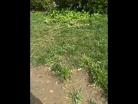 giyasbvnghkgkfk online show from 04/03/26, 10:35