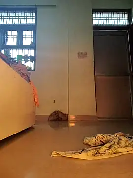 Snapshot of Desi_Bhabi_01 chatting on 02/01/26, 09:52 Desi Bhabi 01 online show from 02/01/26, 09:52