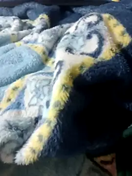 luuiss12 online show from 01/13/26, 08:14