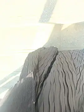 xiaoyuan01 online show from 01/09/26, 02:25