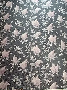 Snapshot of Dari_Toy_ chatting on 11/07/25, 01:38 Dari Toy online show from 11/07/25, 01:38