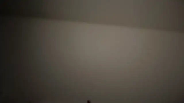 refem9 online show from 04/25/26, 09:23