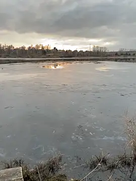 Snapshot of elliot_scott chatting on 10/22/25, 10:37 elliot scott online show from 10/22/25, 10:37