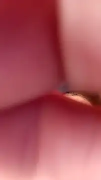 Fox Roxxan online show from 09/22/25, 06:32