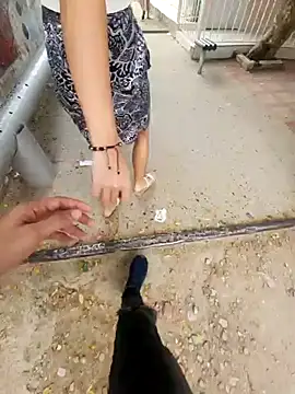 lilobaby online show from 10/19/25, 08:53