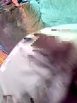 wowokthankyou online show from 03/03/26, 08:09