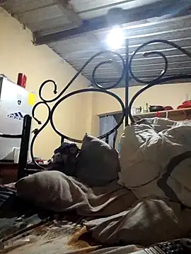 Ortiz3404 online show from 11/01/25, 02:57