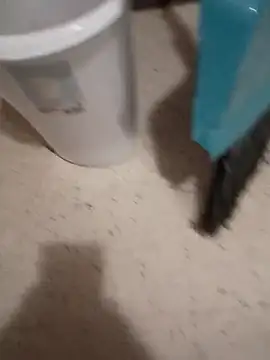 Crossedsissy online show from 03/10/26, 08:58