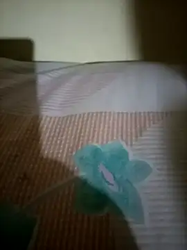 Snapshot of Nishi-2 chatting on 09/25/25, 01:48 Nishi-2 online show from 09/25/25, 01:48