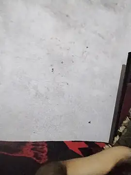 salimbasha online show from 07/28/26, 01:12
