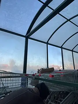 MiraReach online show from 10/15/25, 04:34