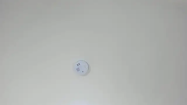 pamemiller1 online show from 10/23/25, 02:33