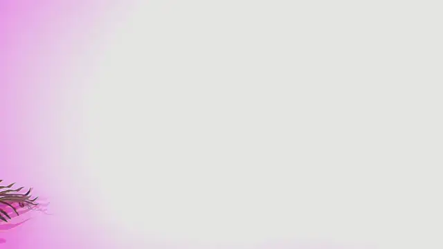 Snapshot of Lana_ortega chatting on 07/05/26, 04:52 Lana ortega online show from 07/05/26, 04:52
